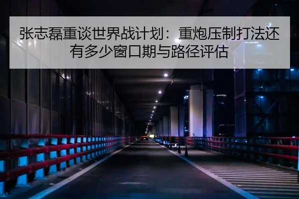 张志磊重谈世界战计划：重炮压制打法还有多少窗口期与路径评估